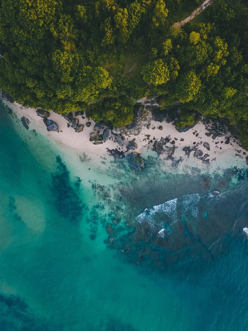 Exotic Islands
