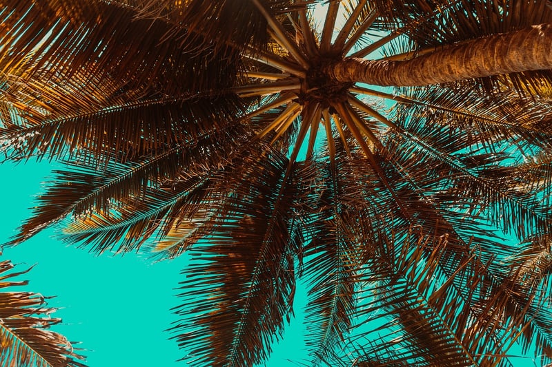 Maldives